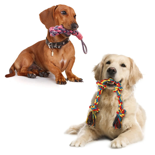 Interactive Cat Toys Ball Automatic Rolling & USB Rechargeable with LED Light for Indoor Playing, Green