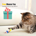 Cat Laser Pointer Toy Rechargeable,Interactive Toy for Cat Kitten Dog with a Mouse Toy,Silver
