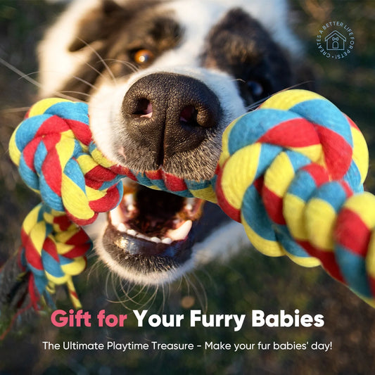 Interactive Cat Toys Ball Automatic Rolling & USB Rechargeable with LED Light for Indoor Playing, Green