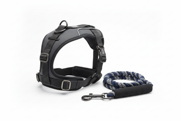 Harness e Rope Collar de dog 